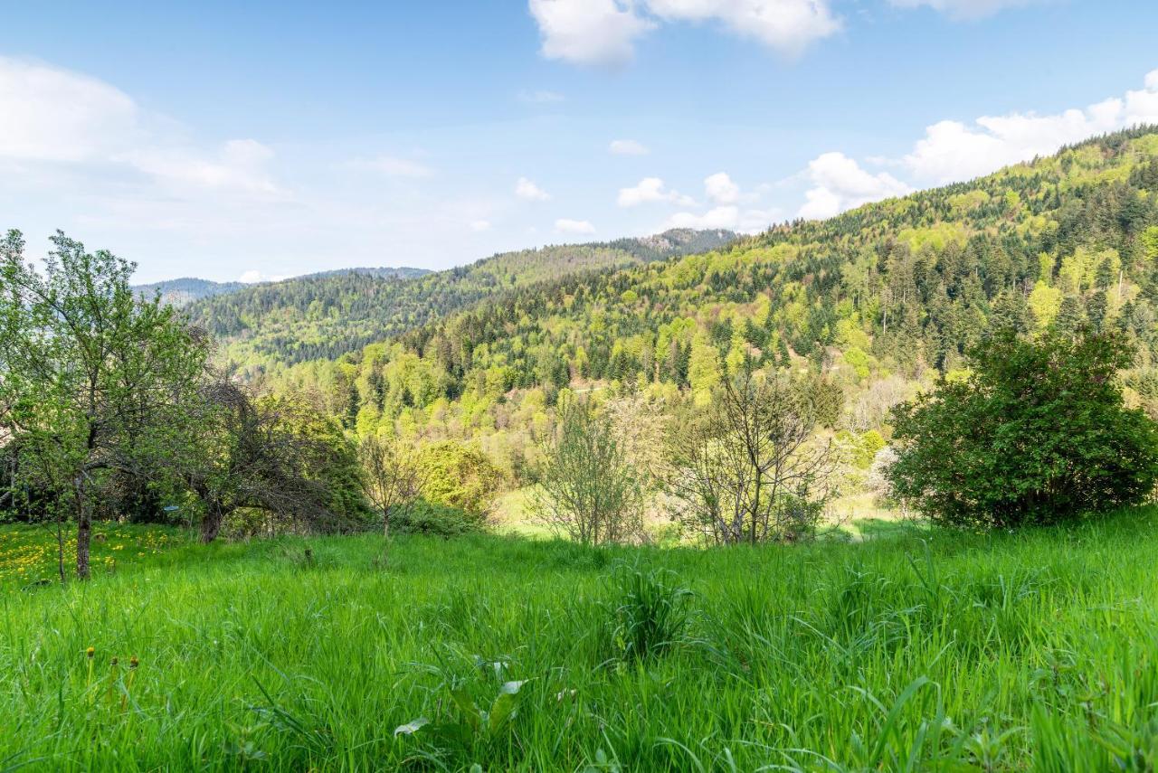 Ferienwohnung Fasse Bühlertal Buitenkant foto